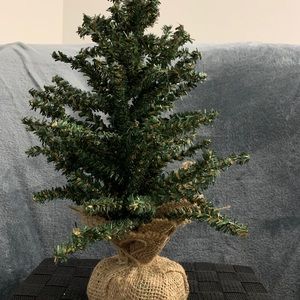 Mini Tree and Ornaments/Accessories
